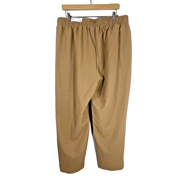 Lane Bryant Tan Relaxed Drawstring Pants Perfect Drape Ankle Mid Rise Size 16 - Picture 2 of 4